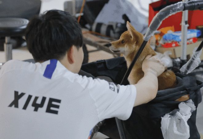 国际赛和友谊赛有什么区别